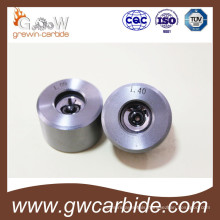 Finished Cemented Carbide Wire Drawing Dies with Steel Case